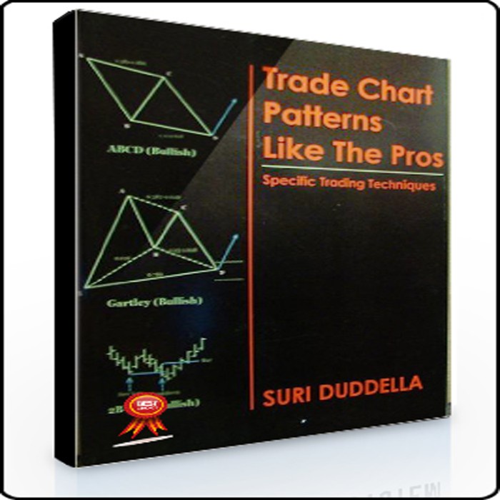 Jual Buku Buku The Trade Chart Pattern Like The Pross By Suri Duddella ...