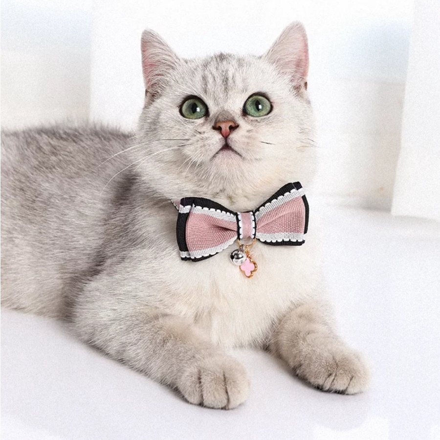 Jual Minits | Collar ribbon reflective, lonceng krincing, kalung anabul ...