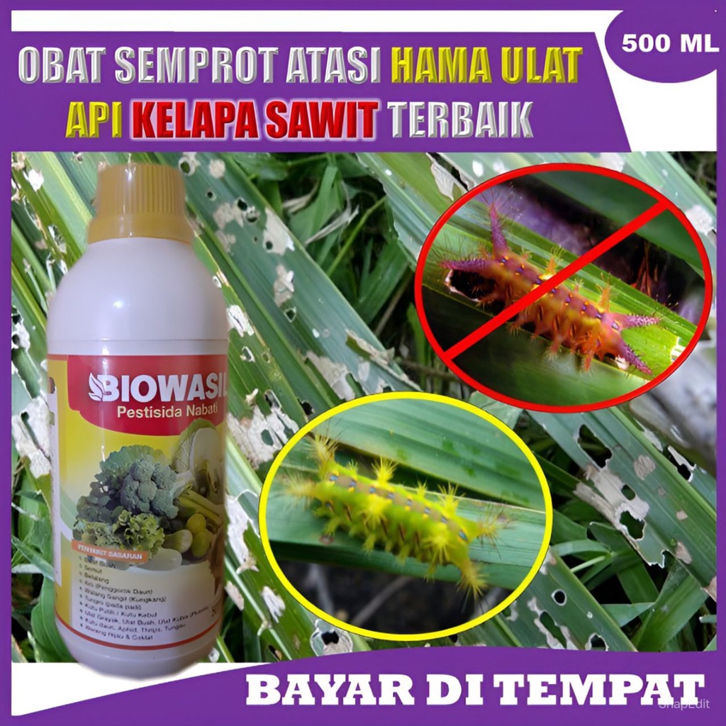 Jual Pupuk Biowasil 500ml Pestisida Obat Semprot Pembasmi Hama Ulat Api Pada Tanaman Kelapa 5911