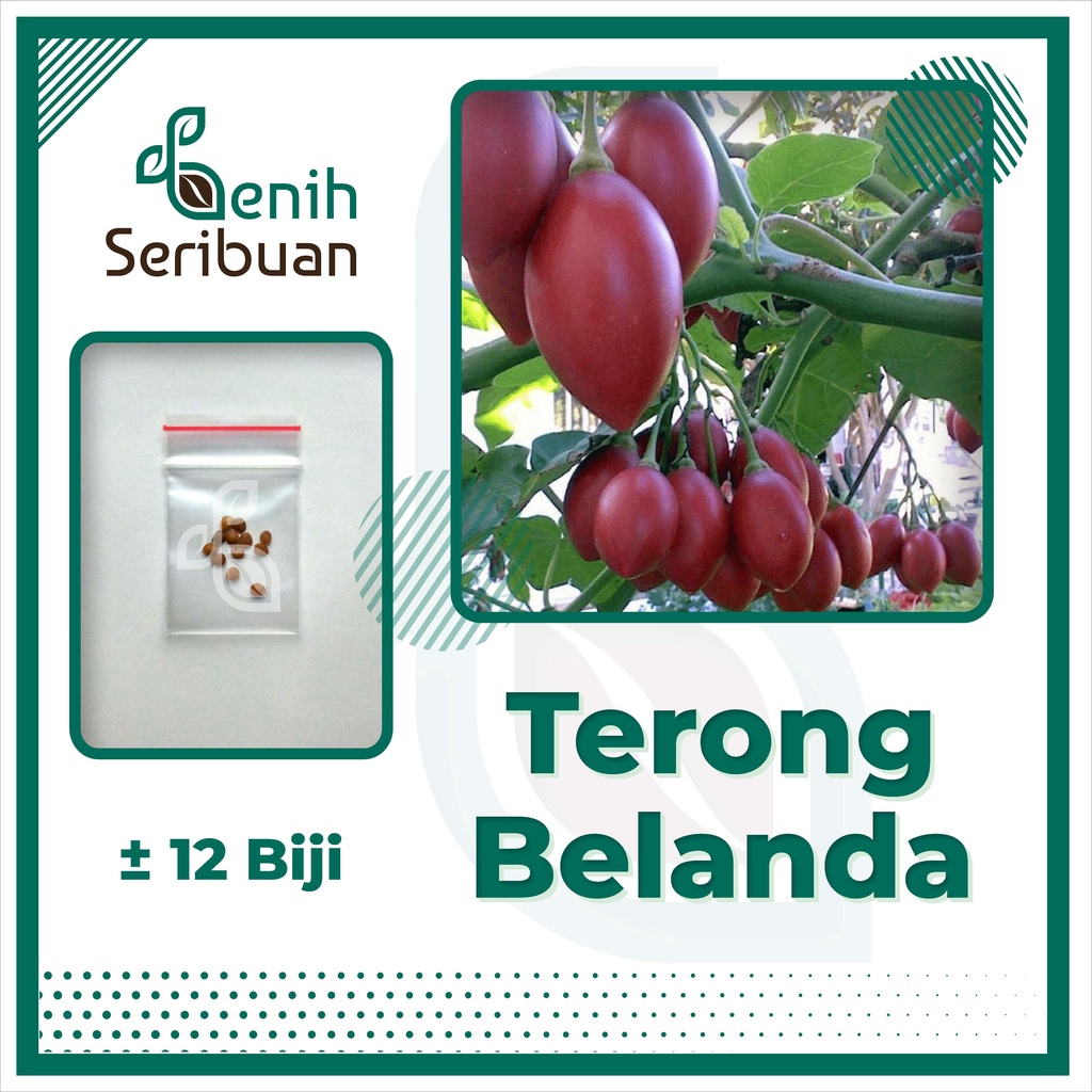 Jual Benih Seribuan 12 Bibit Sayuran Terong Belanda Unggul Shopee Indonesia 6770