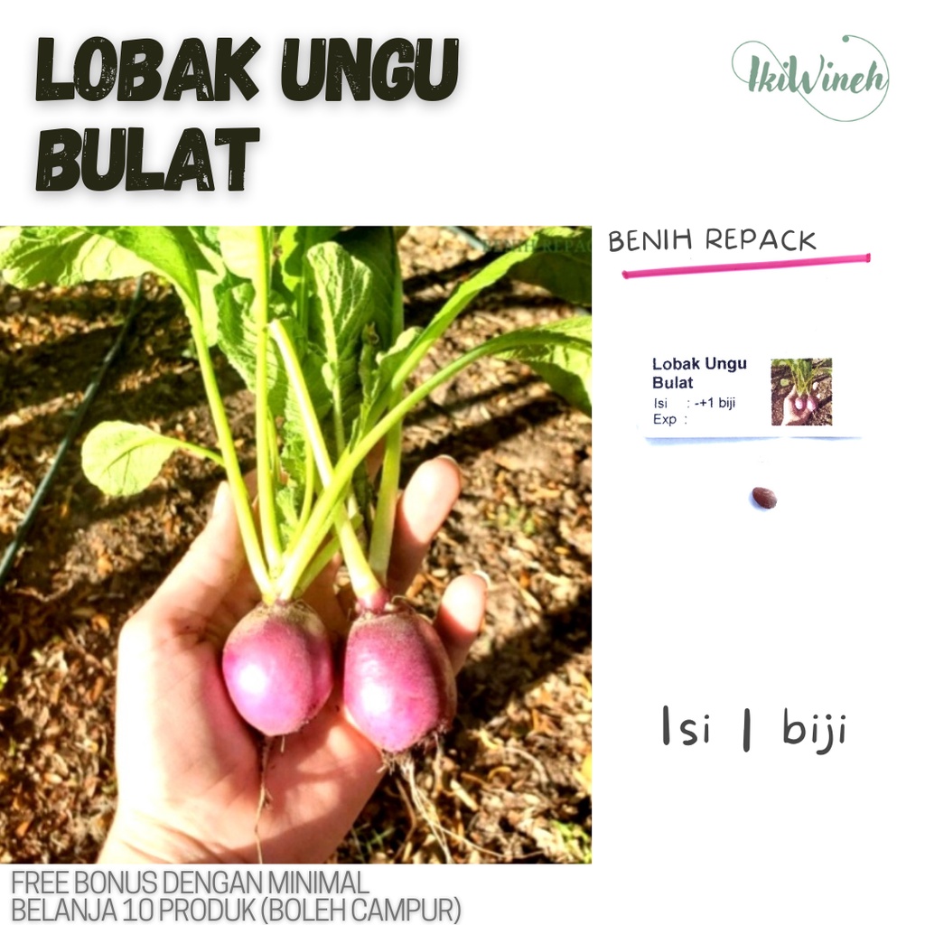 Jual D 28 Benih Lobak Ungu Bulat Repack Isi 1 Biji Shopee Indonesia