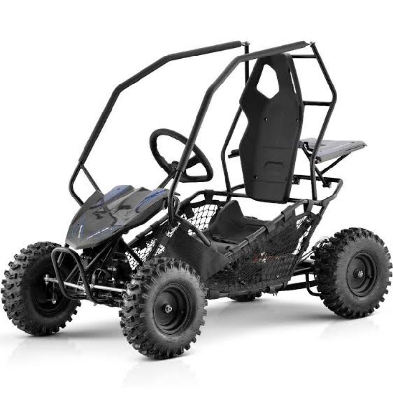 Jual go kart buggy on sale