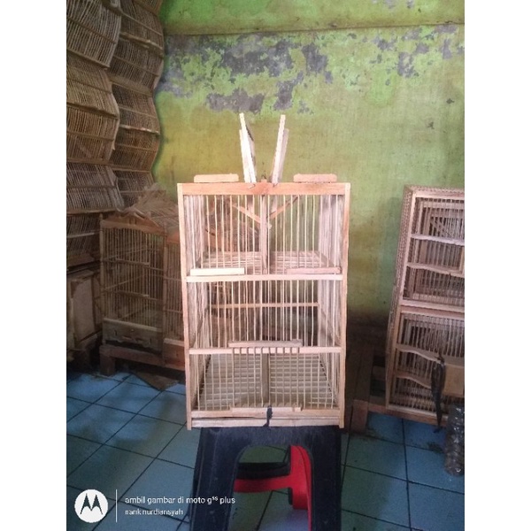 Jual sangkar kandang jebak per lilit | Shopee Indonesia
