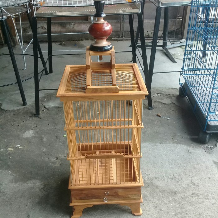 Jual Sangkar Burung Ciblek Pleci Kolibri Pernis Original Shopee Indonesia 5417