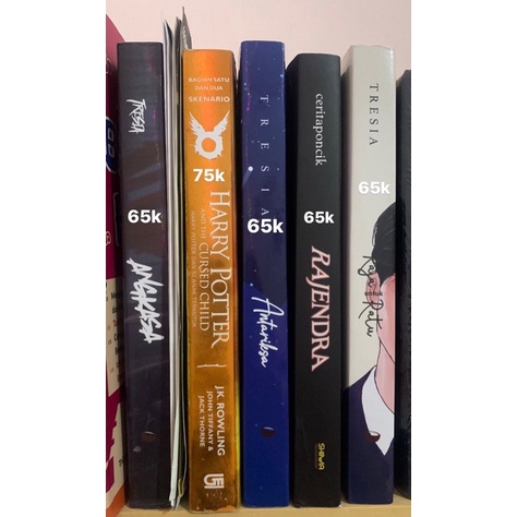 Jual PRELOVED NOVEL ANTARIKSA, RAJENDRA, RAJA DAN RATU, ANGKASA, HARRY ...