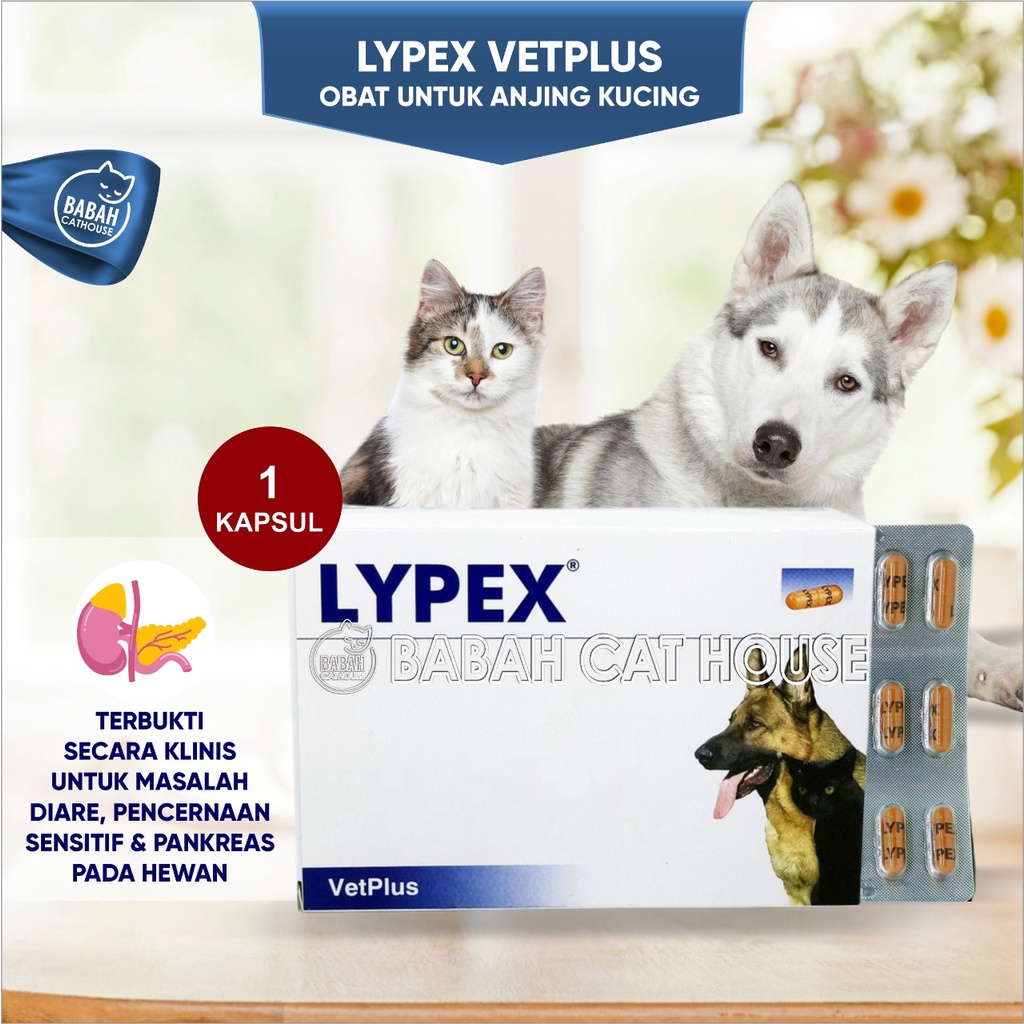 Jual LYPEX Vetplus Obat Enzim Anti Sakit Diare untuk Anjing Kucing Pencernaan Sensitif Mencret
