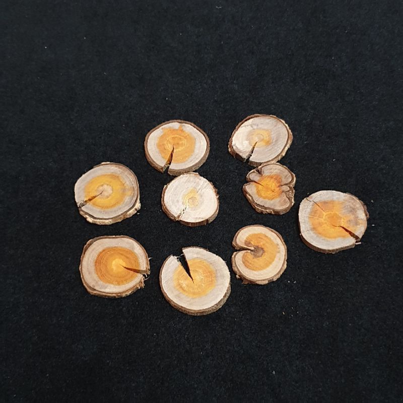 Jual Wood slice potongan kayu jati ranting kayu jati kering kayu secang ...