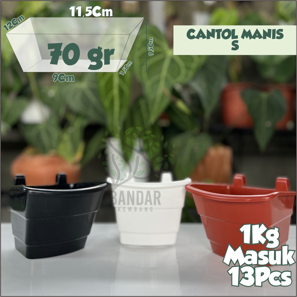 Jual Pot Cantol Manis S Pot Bunga Vertikal Pot Tanaman Pot Bunga