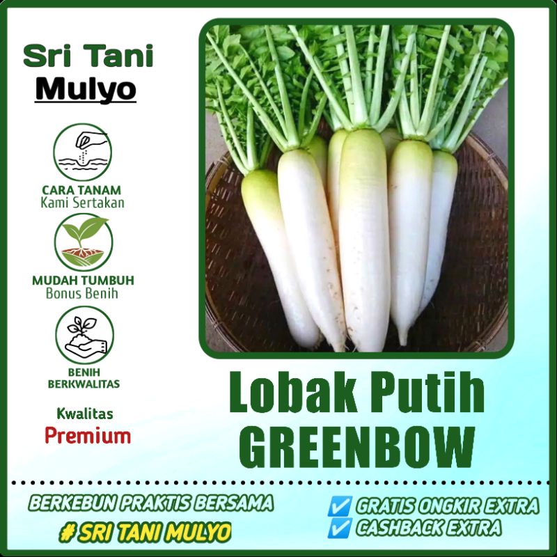 Jual 10 Biji Benih Lobak Putih Greenbow F1 Mudah Di Tanam Bibit