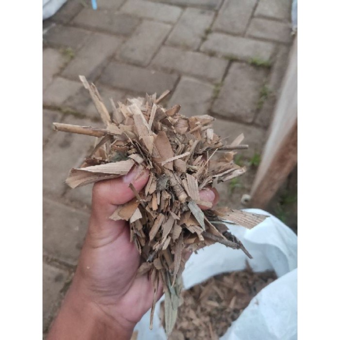Jual Media Tanam Metan Humus Daun atau andam siap pakai, andam kering ...