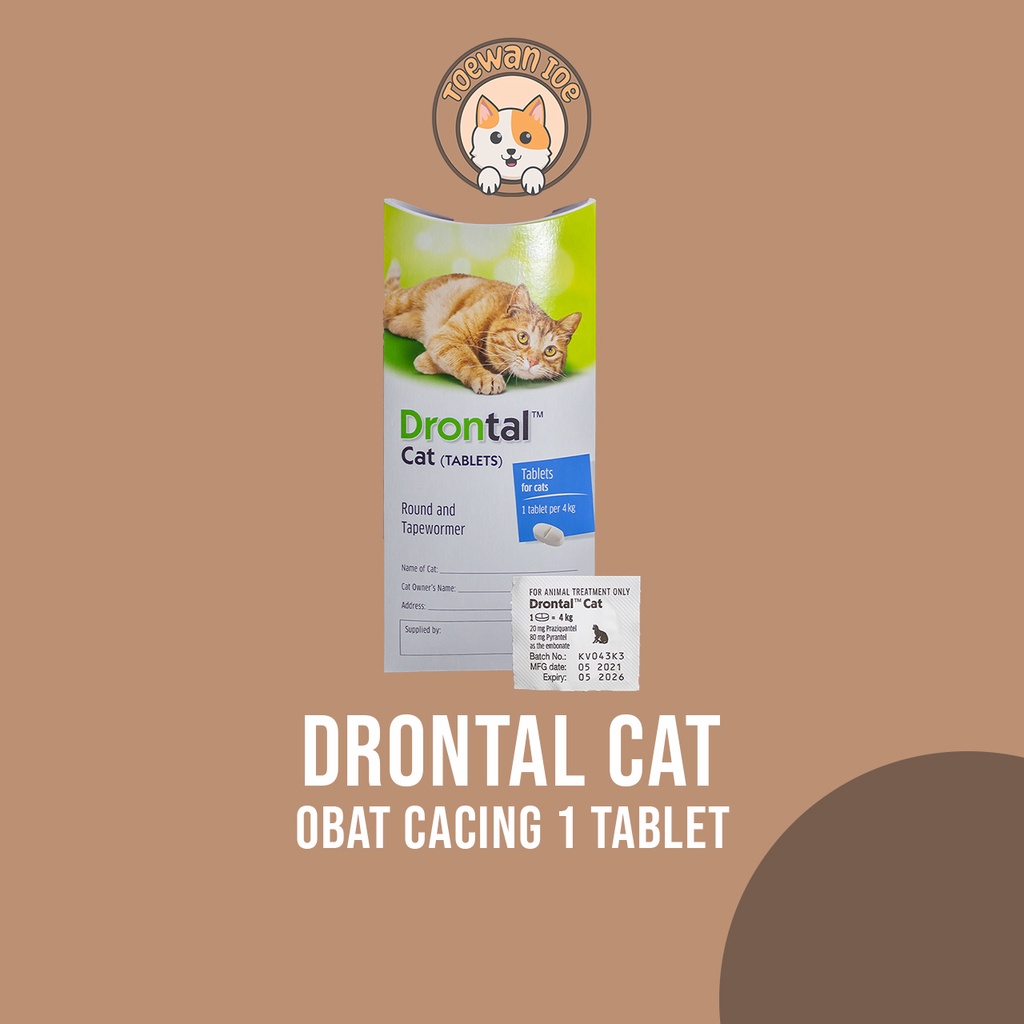 Jual Drontal Cat Tablets Obat Cacing Untuk Kucing 1 TABLET | Shopee ...