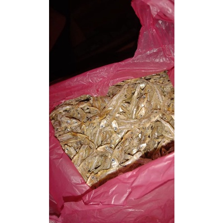 Jual gerih layur | Shopee Indonesia