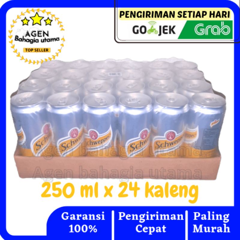 Jual Schweppes Tonic Water 250ML 1 Karton (24can) | Shopee Indonesia