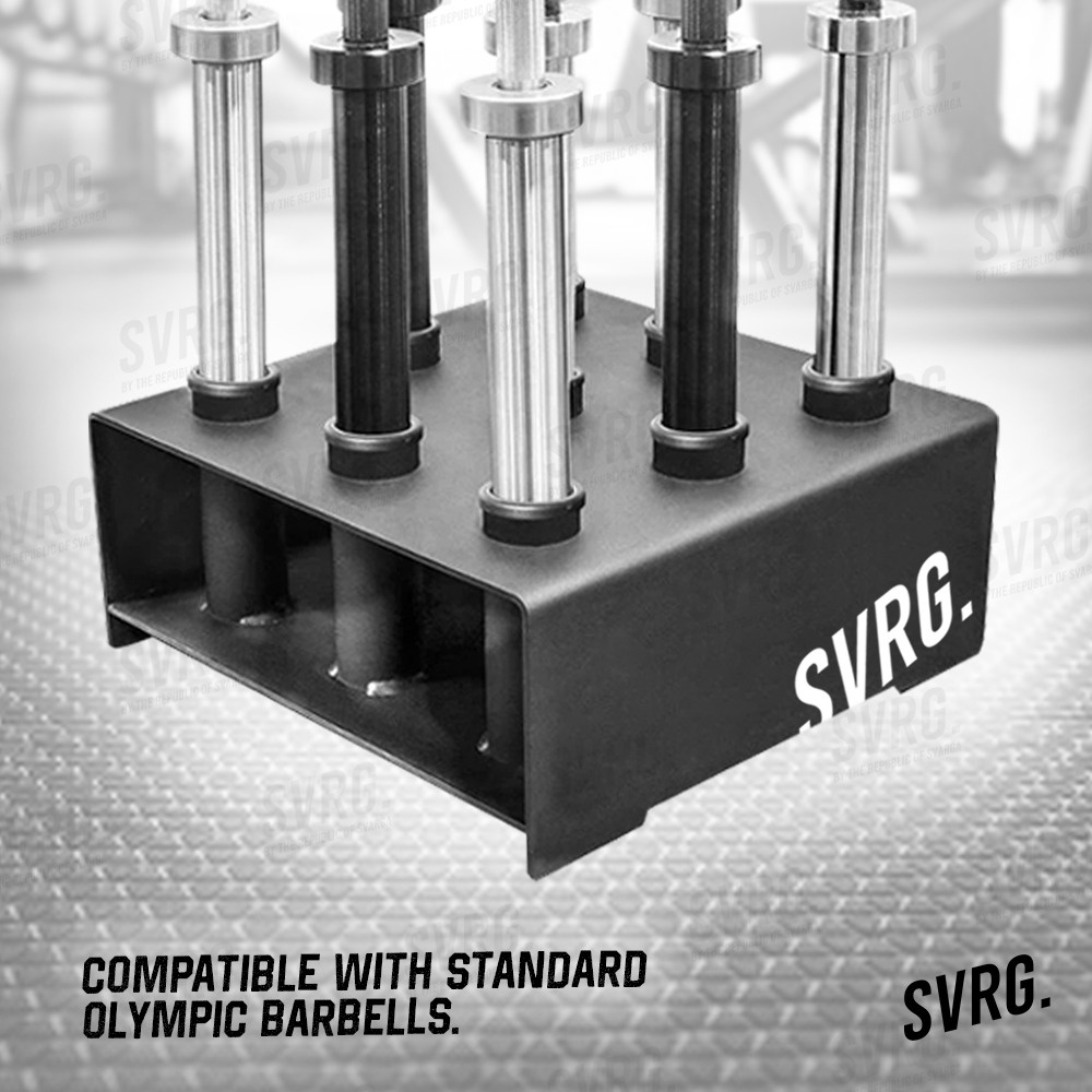 Jual SVRG Olympic Barbell Bar Holder Stand - Barbel Rak - Bars rack ...