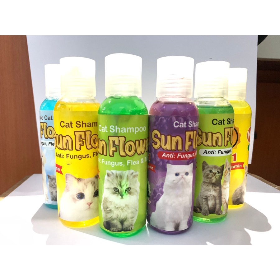 Jual Shampoo Kucing Sun Flow Kucing Anjing Anti Fungus Flea Tick Setaracub Cit Ml Shopee