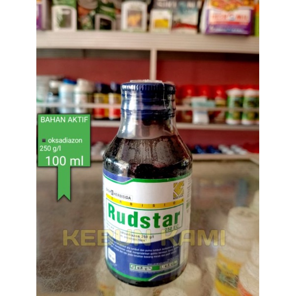 Jual Rudstar pembeku biji 100 ml | Shopee Indonesia
