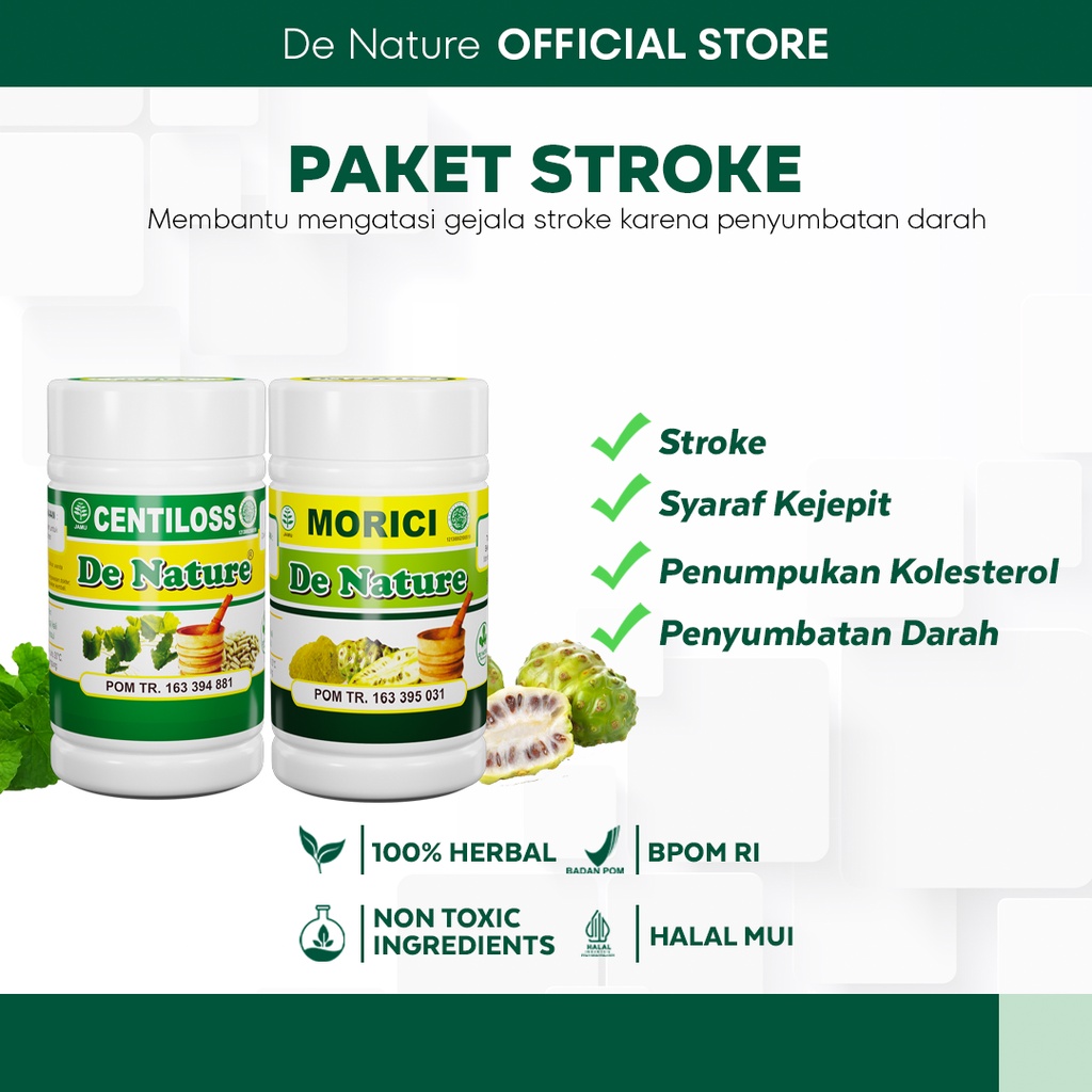 Jual Obat Penyakit Stroke Struk Struke Setruk Strok Ringan Dan Berat