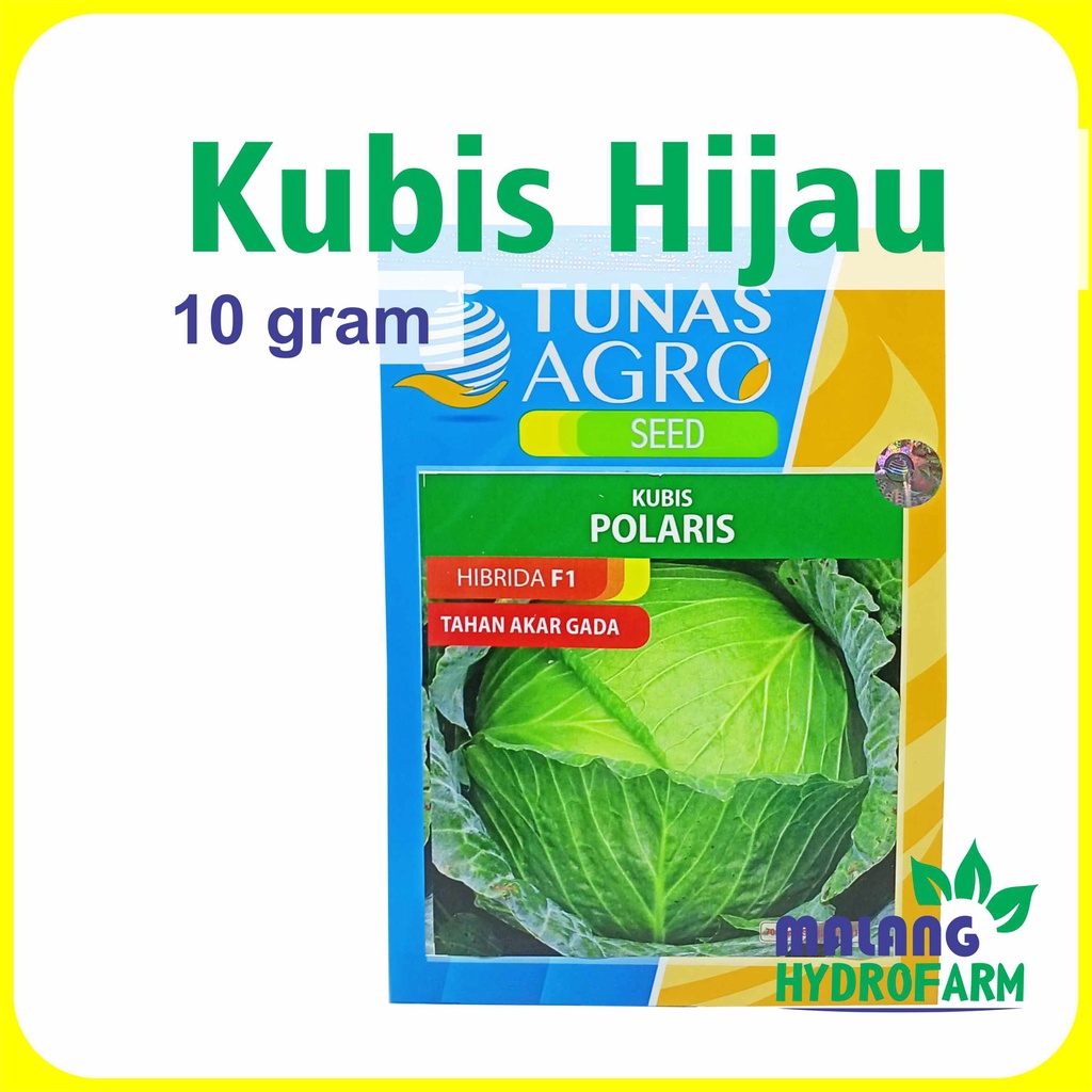 Jual Benih Kubis Hijau 10 Gram Tunas Agro Hibrida F1 Tahan Akar Gada ...