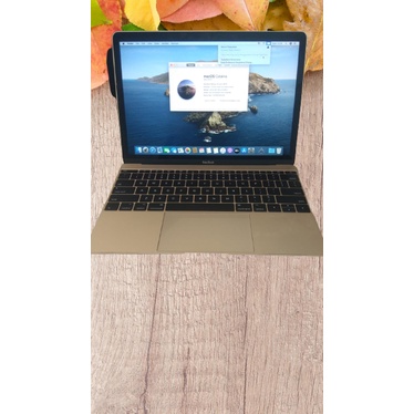 Jual MACBOOK PRO (Retina,12-inch 2017)8/512GB | Shopee Indonesia