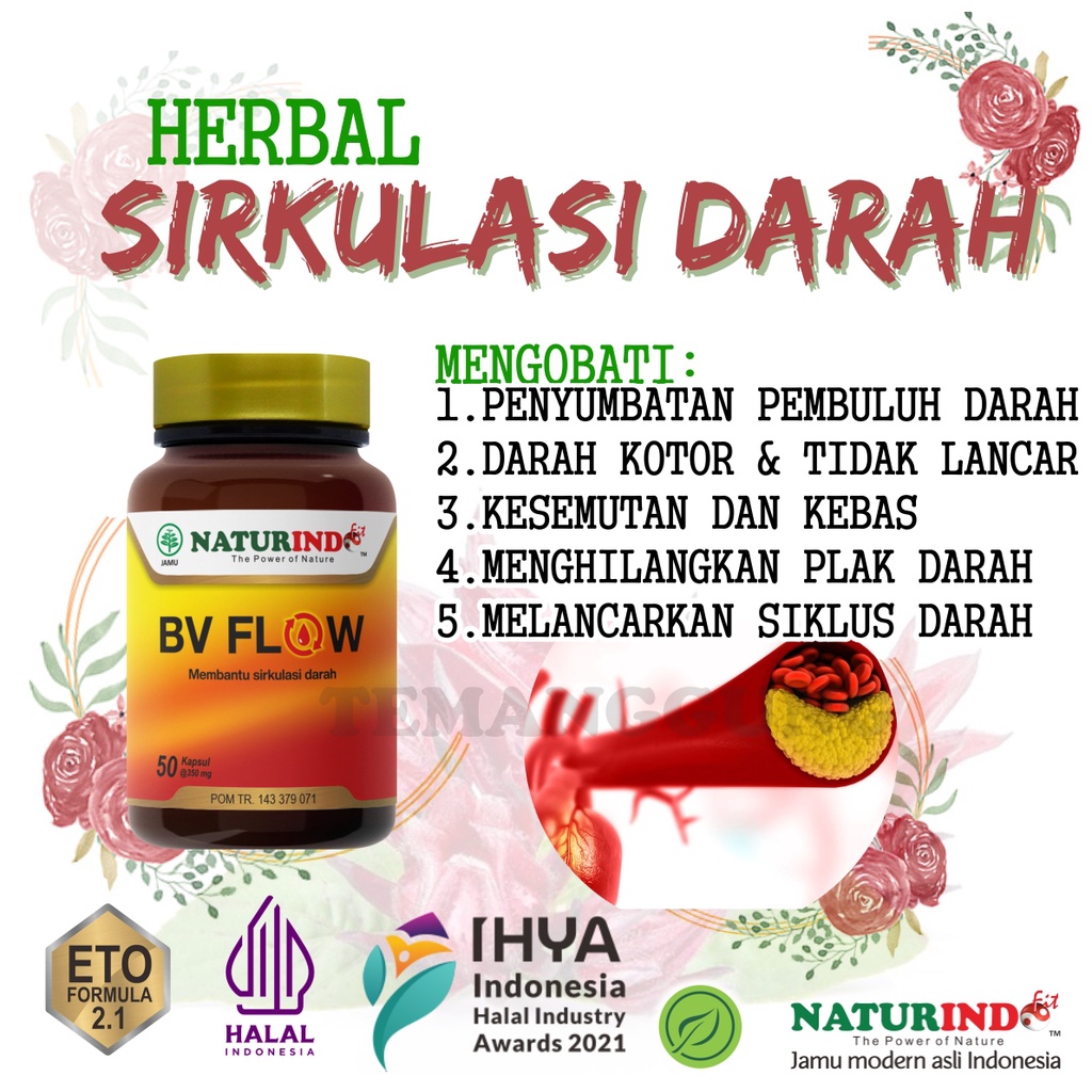 Obat penyumbatan pelancar pembersih pembuluh darah beku Kental kesemutan kebas herbal herbal Ampuh bv flow naturindo cina
