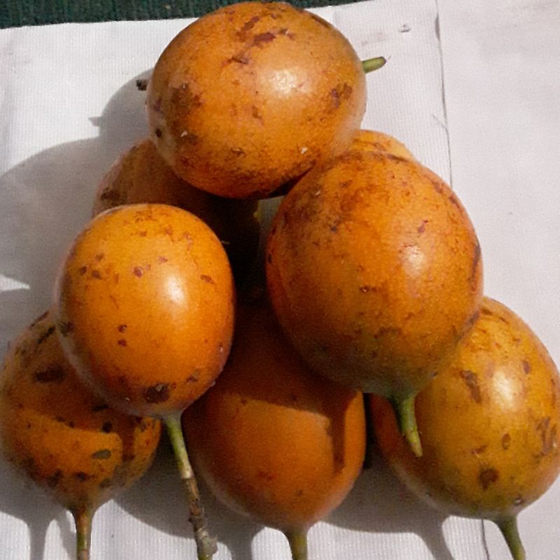 Jual Buah Markisa Konyal Segar 1kg Terdekat Shopee Indonesia 