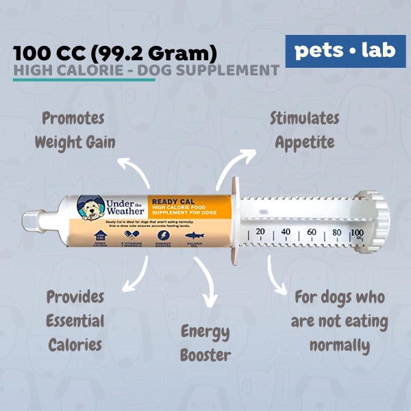 Jual (COD) Under The Weather High Calorie Cat Dog Anjing Kucing Tidak ...