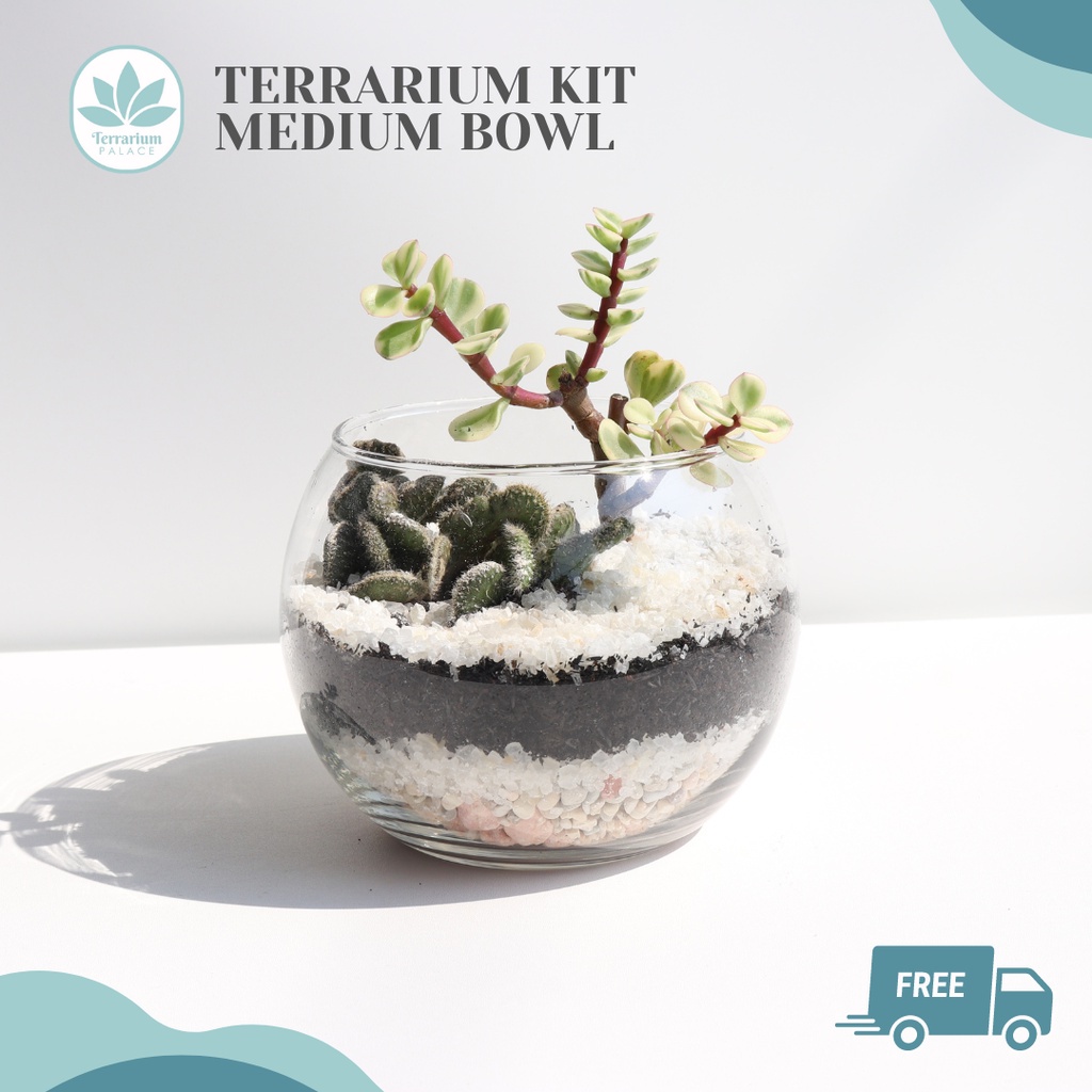 Jual PLANTING KIT GROW KIT GARDENING KAKTUS TERRARIUM SUKULEN RAKIT