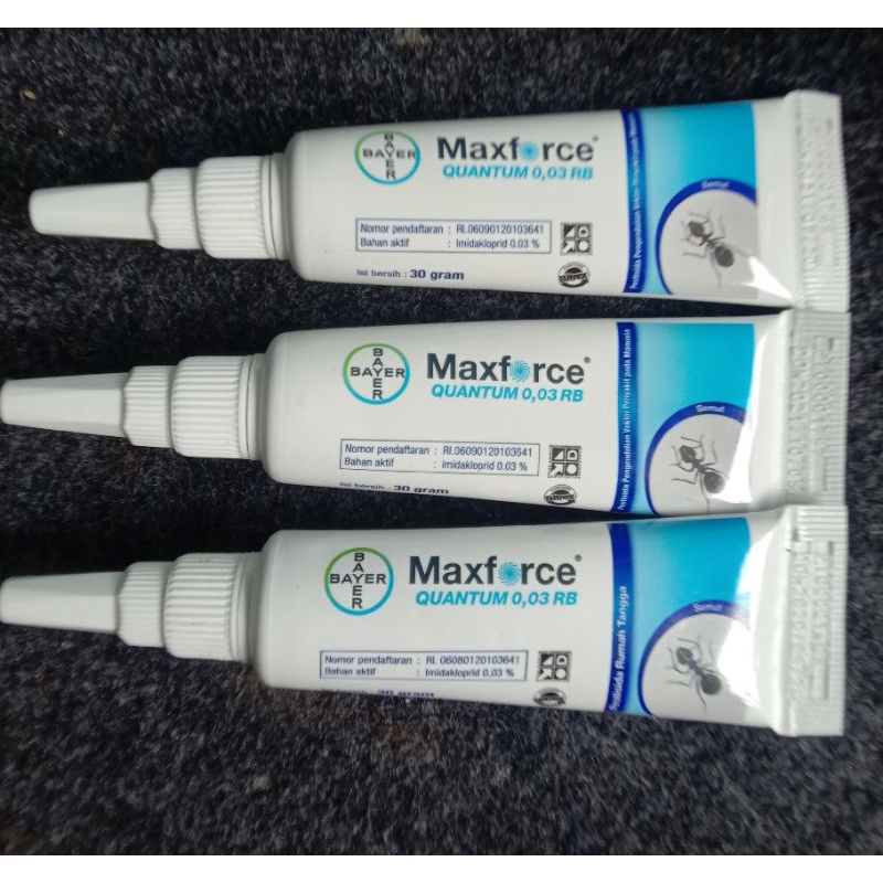 Jual maxforce quantum 0,03 RB anti semut ampuh bayer | Shopee Indonesia