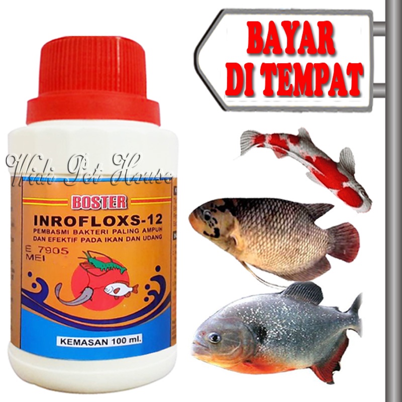 Jual Obat Luka Anti Bakteri Ikan Sakit Antibiotik Inrofloxs Shopee