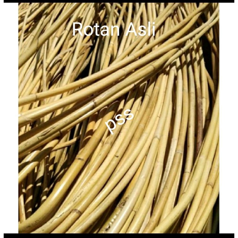 Jual Rotan Asli Bahan Anyaman / Rotan Kulit 5mm | Shopee Indonesia