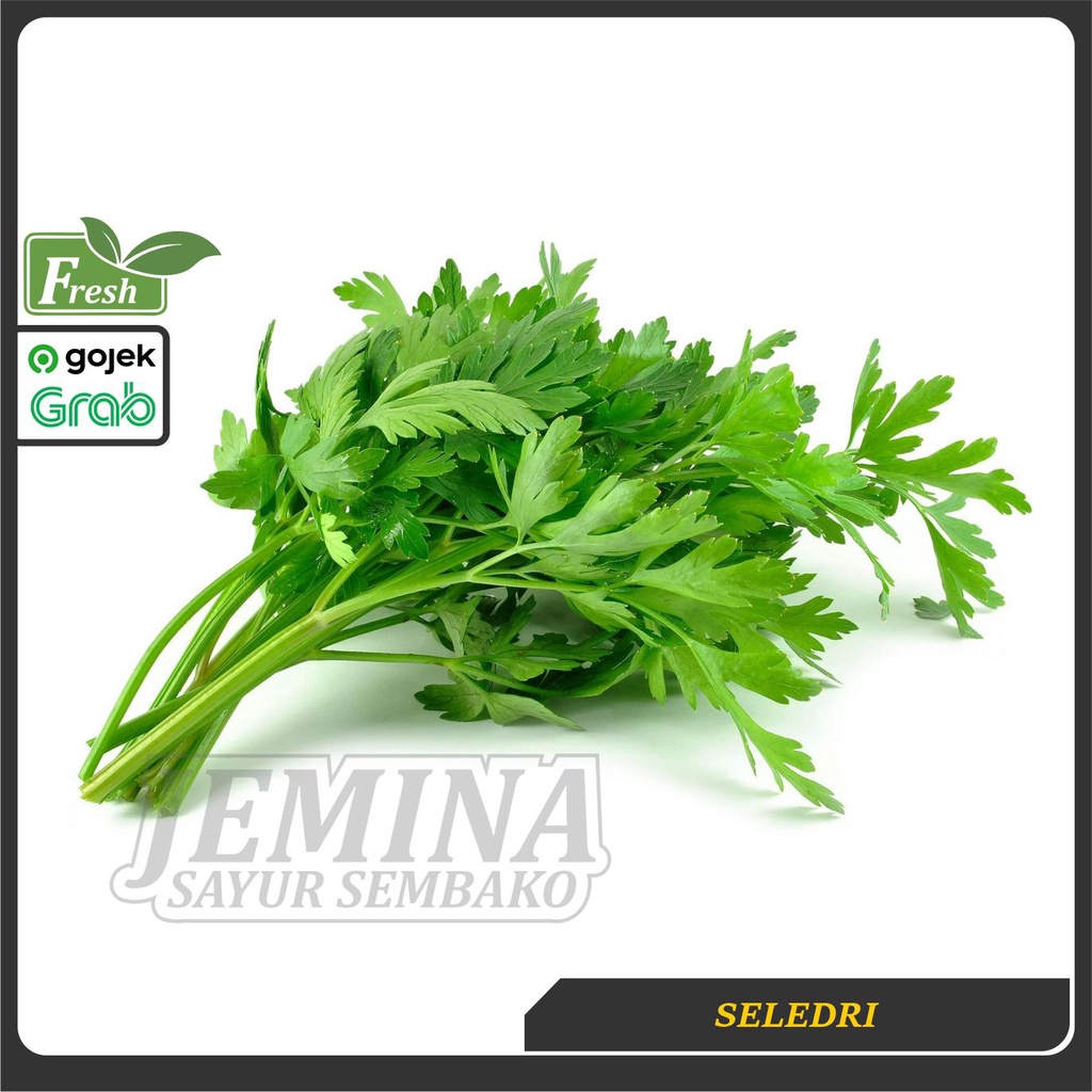 Jual Daun Seledri Sledri Sayur Jogja Shopee Indonesia