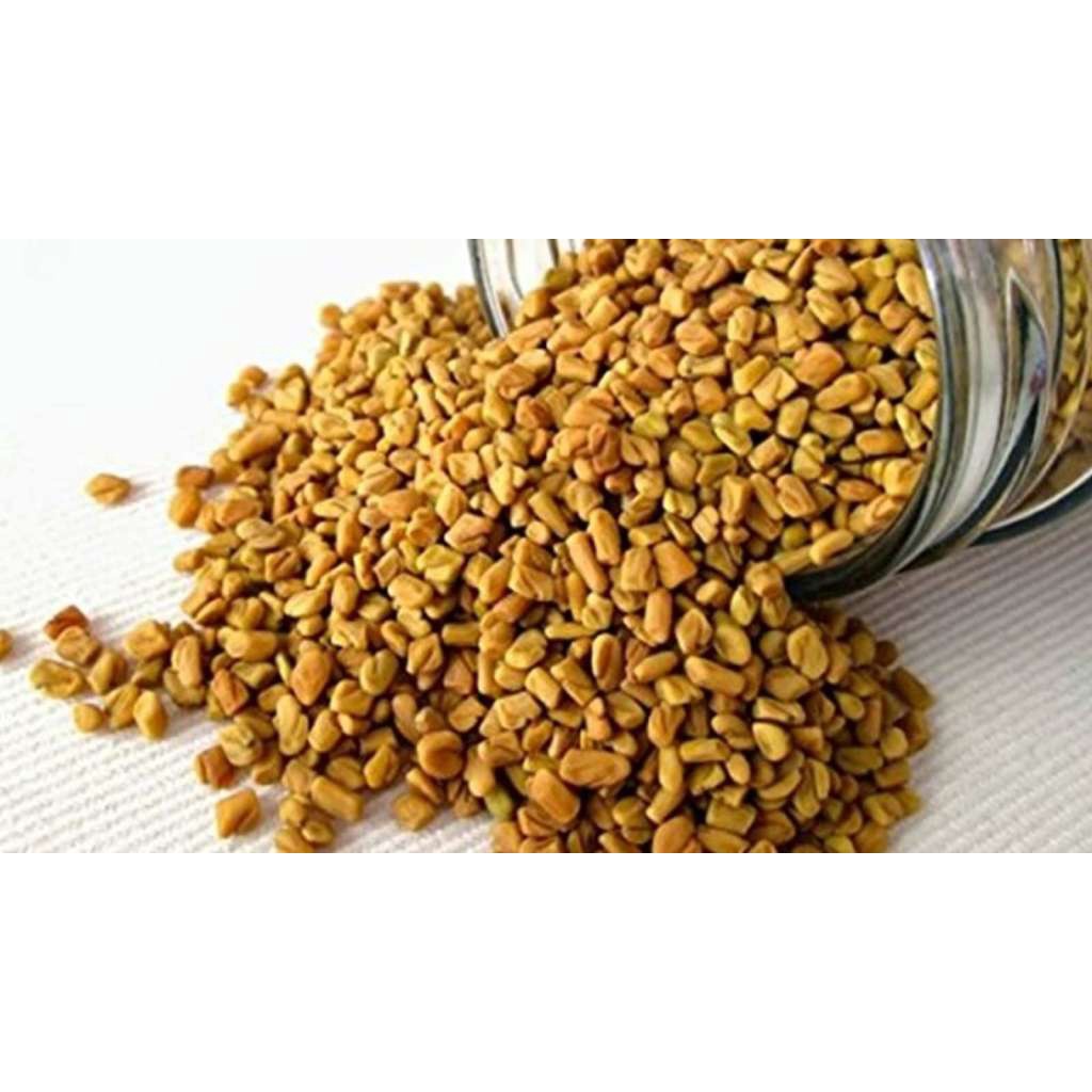 Jual Meethi Seeds Fenugreek Seeds Biji Klabet 100gm Shopee Indonesia