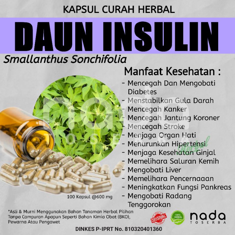 Jual Kapsul Daun Insulin Yakon 100 Kapsul Curah Herbal Herbal