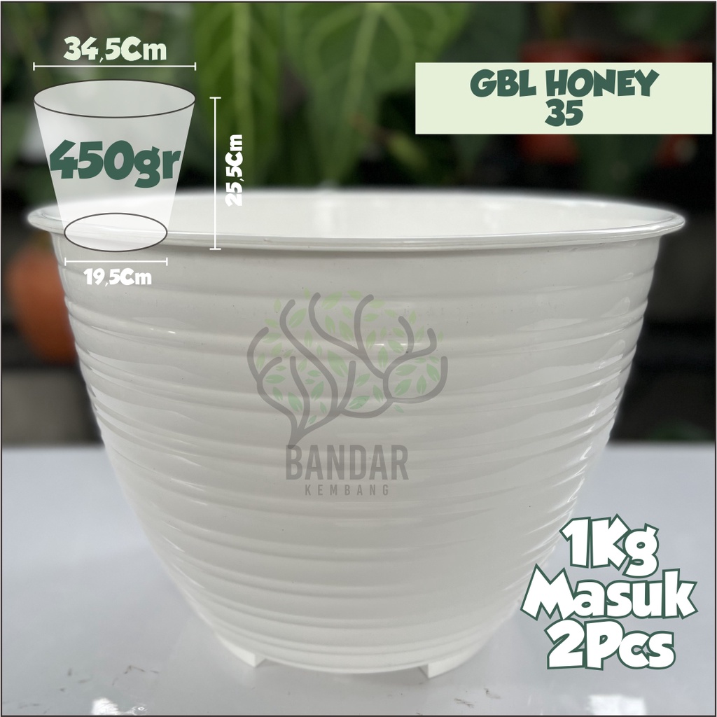 Jual Pot Gbl Honey Pot Bunga Tanaman Hias Bagus Aesthetic Mirip Pot Tawon Cantik Bibit Taman