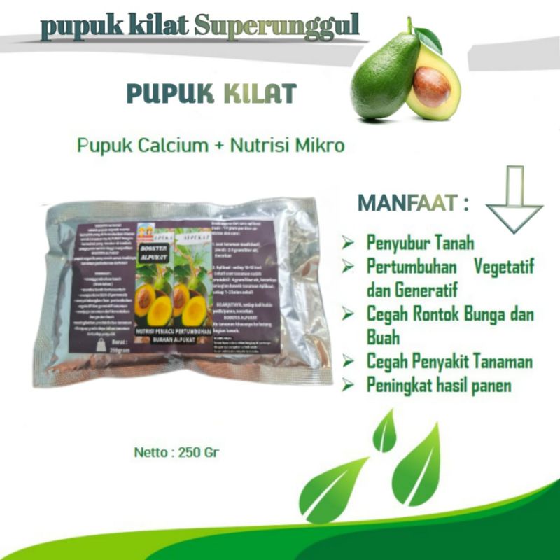 Jual Pupuk Organik Pelebat Buah Dan Booster Alpukat Cepat Berbuah Lebat ...