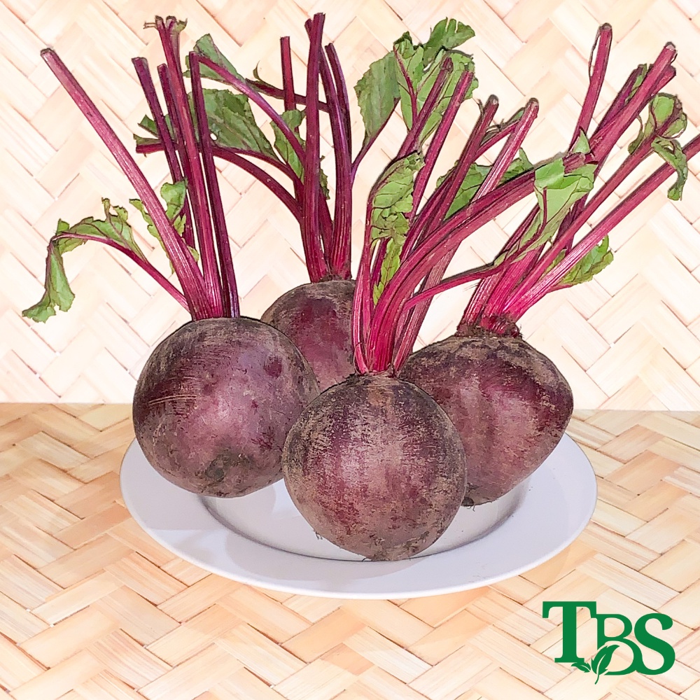 Jual BUAH BIT FRESH | BEET ROOT 1 KG | Shopee Indonesia