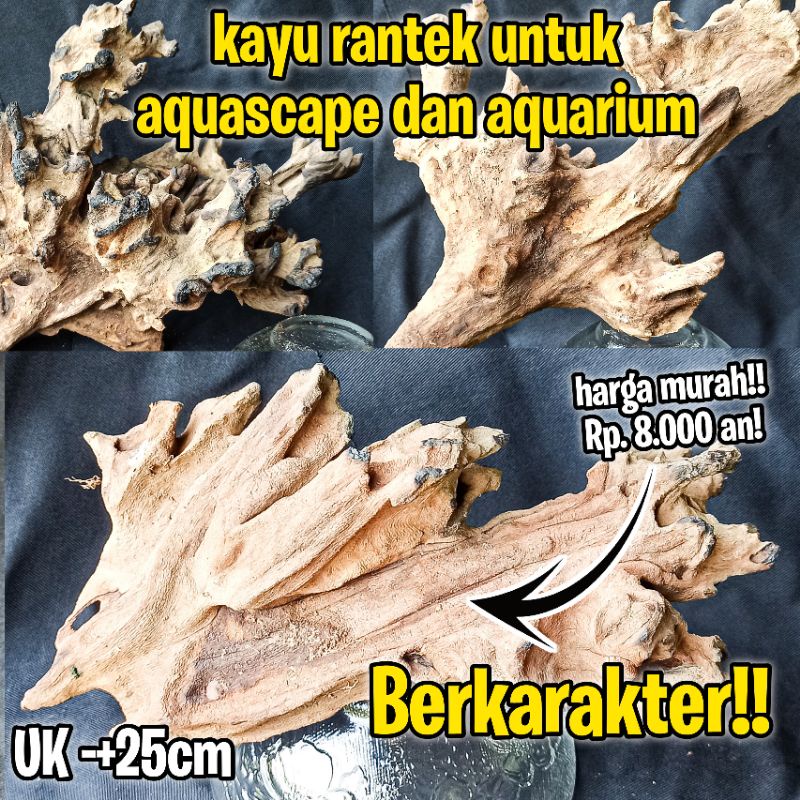 Jual Kayu Rantek Aquascape Dan Aquarium, Bahan Berkarakter, Sudah ...