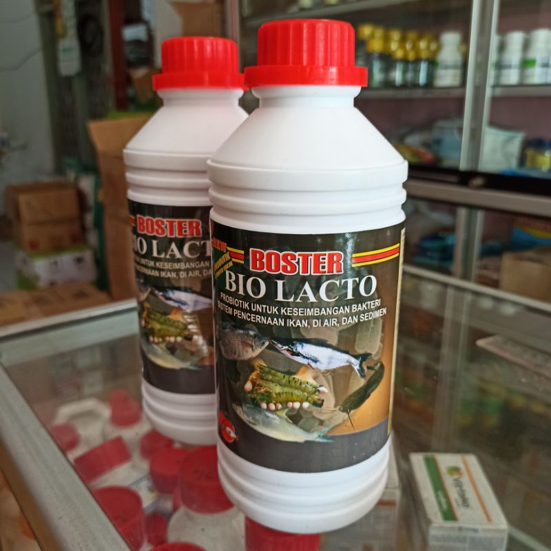 Jual Bio Lacto Boster Probiotik Ikan Dan Udang Untuk Sistem Pencernaan ...