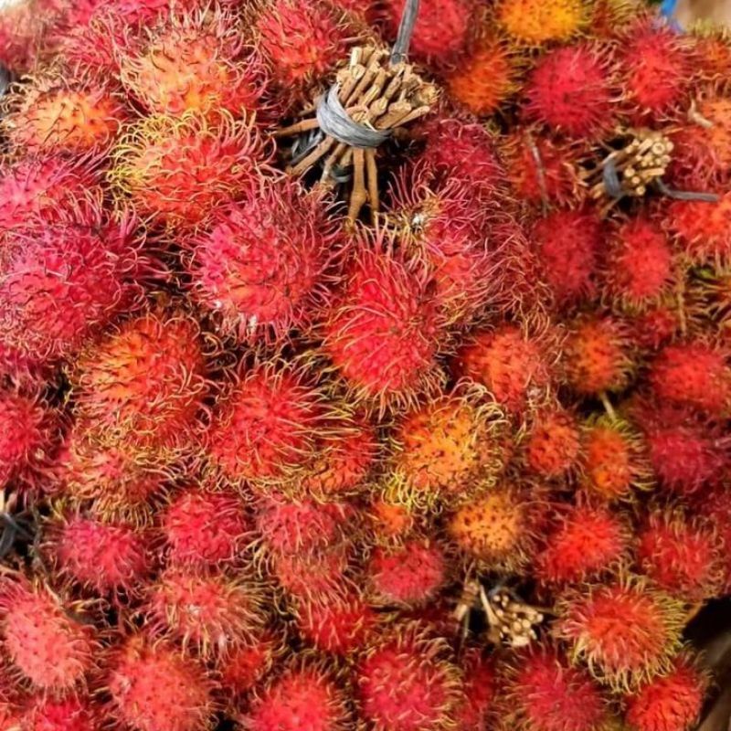 Jual Rambutan Lebak 2 Ikat | Shopee Indonesia