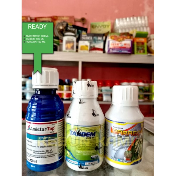 Jual AMISTARTOP 325 SC 100 ML/TANDEM 325 SC 100 ML/PARAGON 325 SC 100 ...