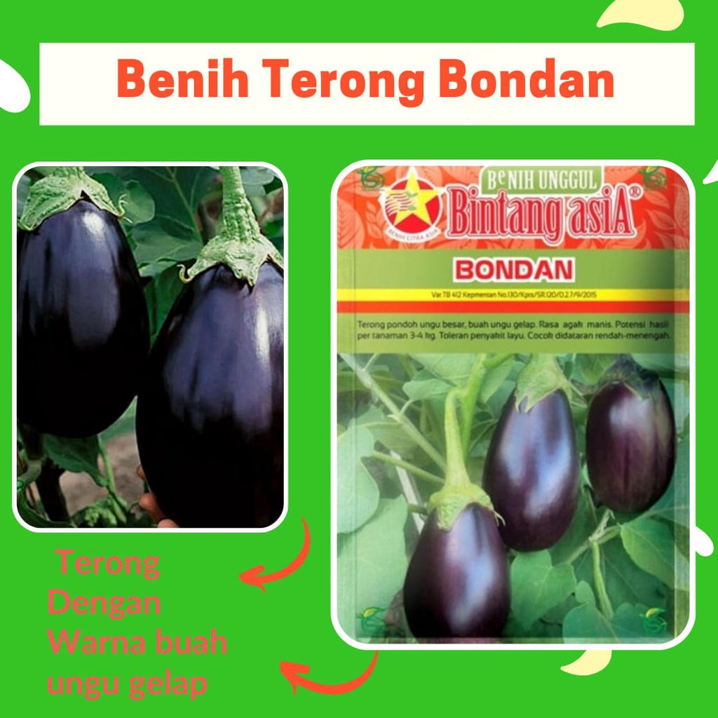 Jual Benih Terong BONDAN 4 Gram Cap Bintang Asia PT Benih Citra Asia ...