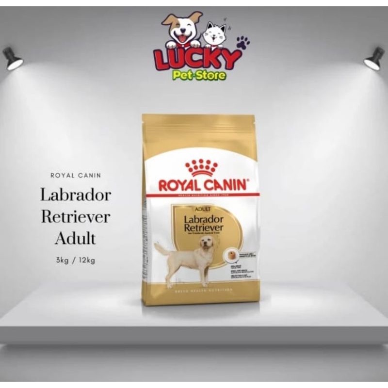 Jual Royal Canin Labrador retriever adult 12 Kg Shopee Indonesia
