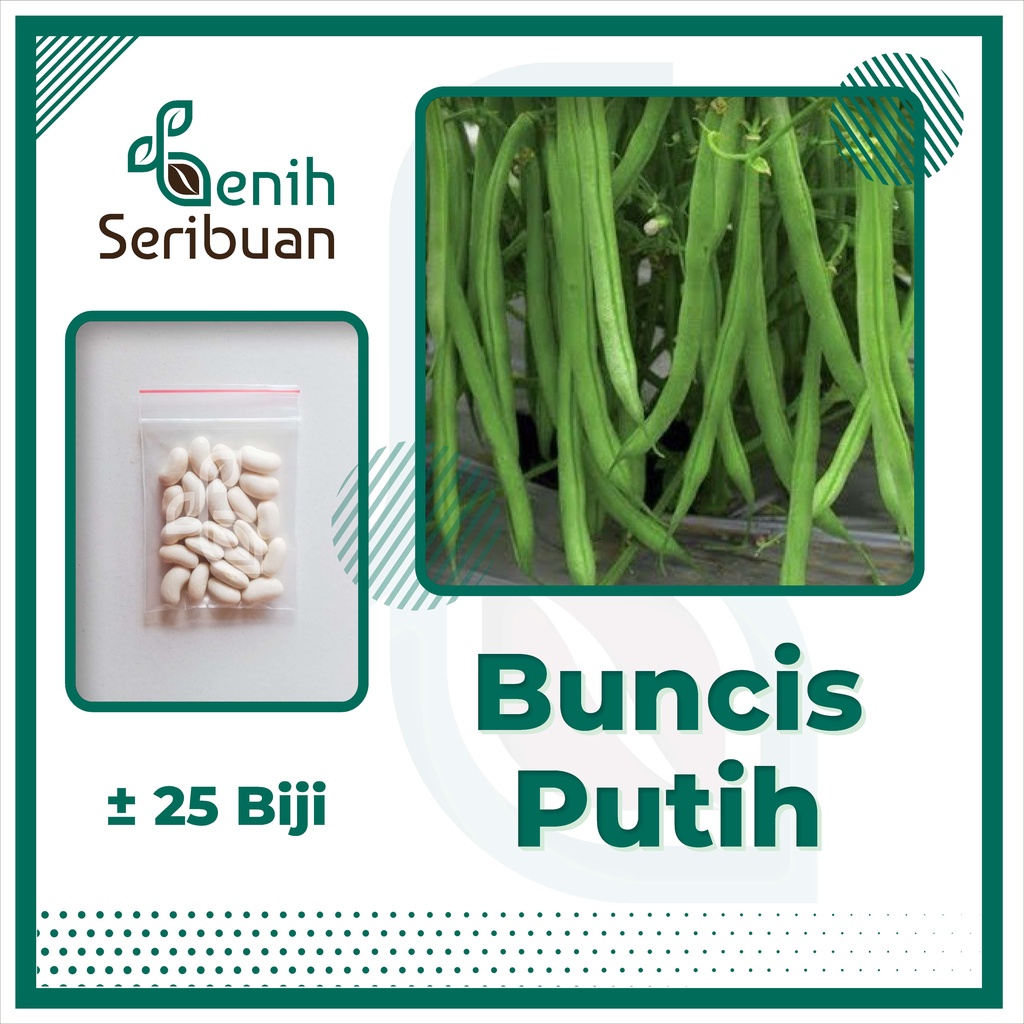 Jual Benih Seribuan Bibit Sayuran Buncis Putih Unggul Shopee Indonesia