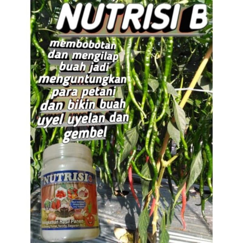 Jual Nutrisi B 500gram - Pupuk Nutrisi Untuk Buah Dan Bunga | Shopee ...