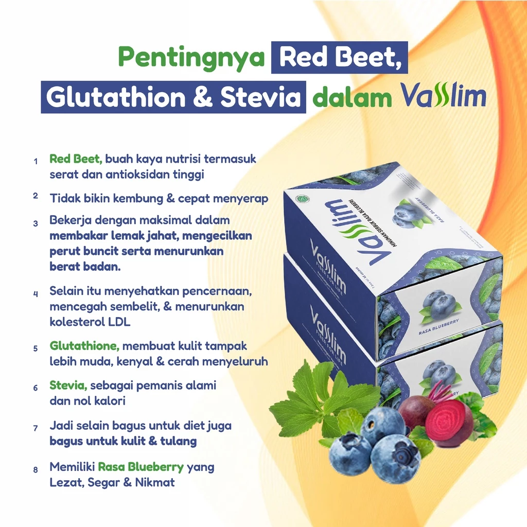 Vasslim Fiber Drink Pelangsing Badan
