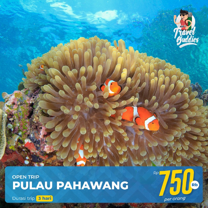 Jual Paket Wisata Travel Tour Liburan Pulau Pahawang 3D2N Open Trip ...