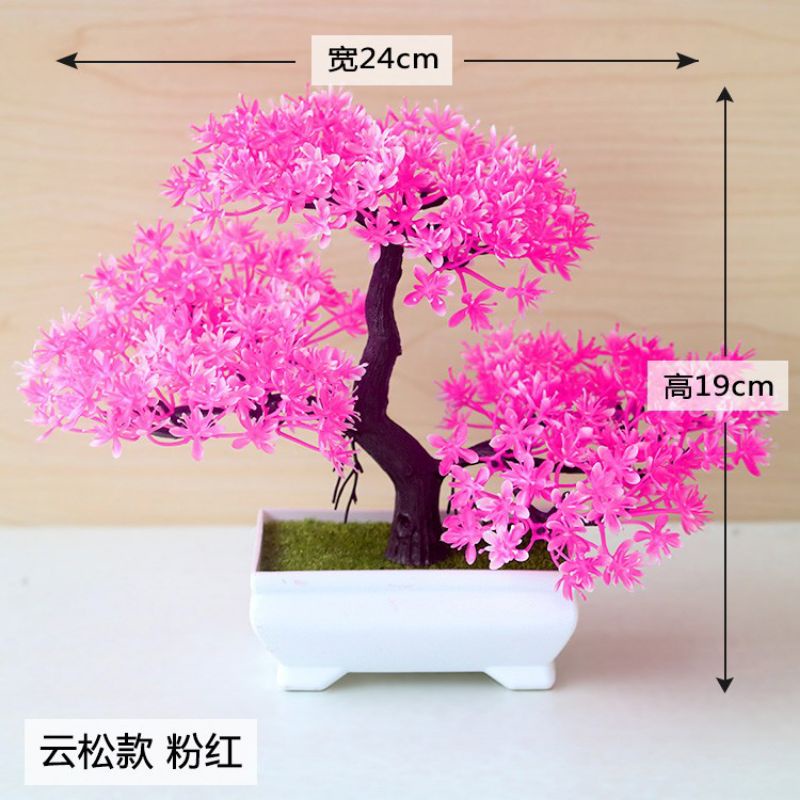 Jual Bonsai Artificial Shopee Indonesia