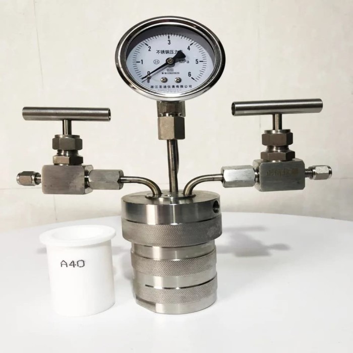 Jual Hydrothermal synthesis Autoclave Reactor inlet outlet gauge 100ml ...
