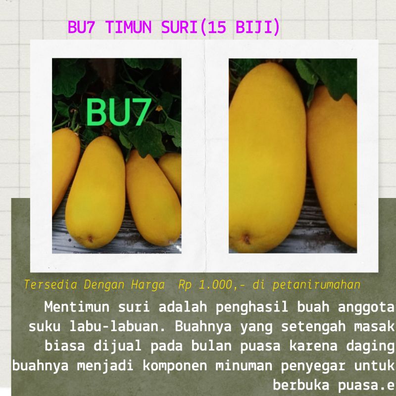 Jual Bibit Biji Benih Buah Semangka Merah Kuning Melon Pepaya California Timun Apel Suri Blewah