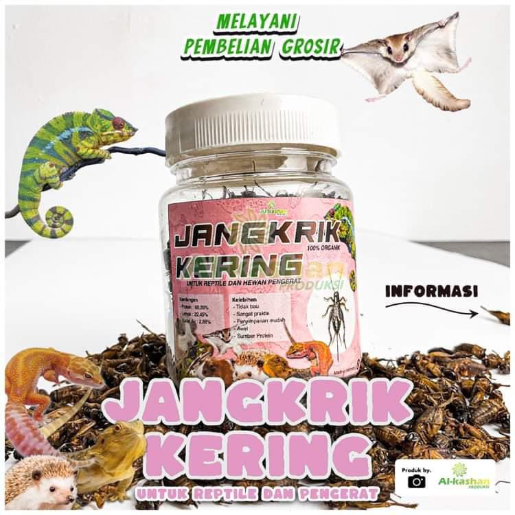 Jual Jangkrik Kering Untuk Reptil Dan Pengerat Shopee Indonesia